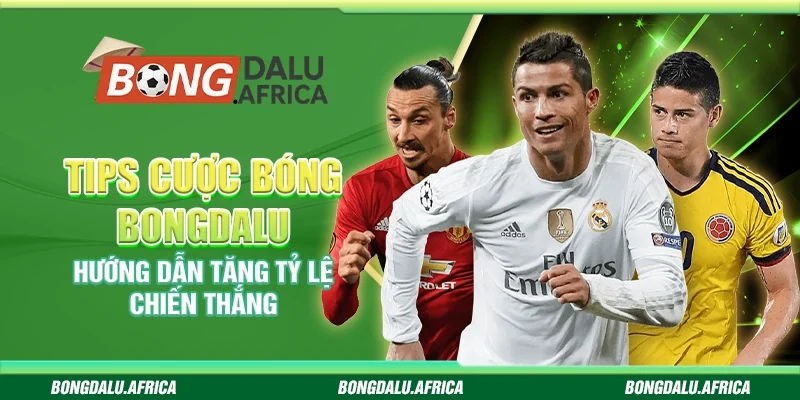 Tips Cược Bóng Bongdalu – Hướng Dẫn Tăng Tỷ Lệ Chiến Thắng