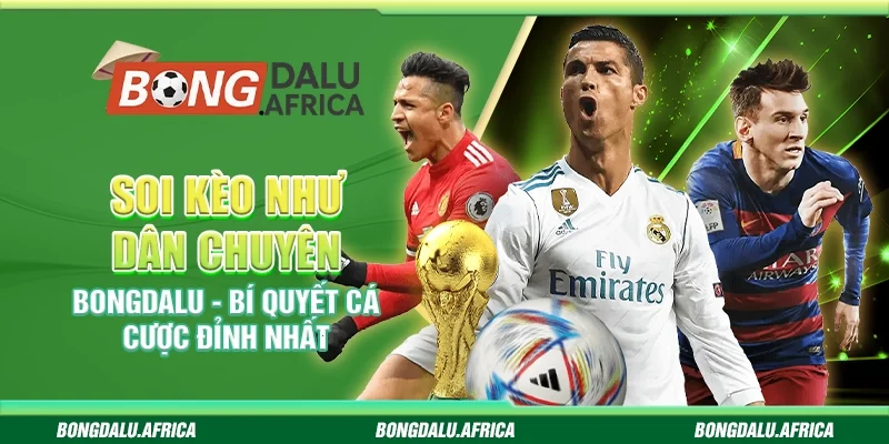 Soi Kèo Như Dân Chuyên Bongdalu – Bí Kíp Từ Cao Thủ Cá Cược